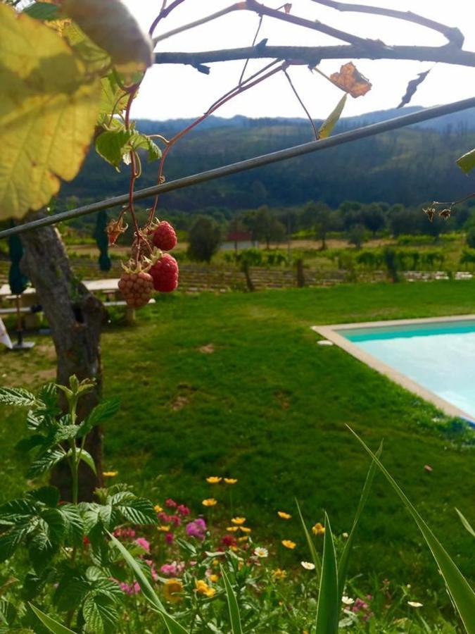 Quinta Da Aranha Villa Arcos de Valdevez Exterior photo